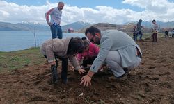 Bitlis'te badem fidanları toprakla buluşturuldu