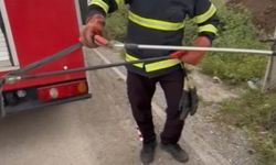 Osmaniye’de elektrik panosuna giren yılanı itfaiye çıkardı