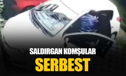 Kartal’da komşuların park kavgasında astım hastası kadını darp ve tehdit edenler serbest bırakıldı