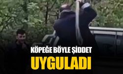 Trabzon’da bağlı köpeğe halatla şiddet uygulayan şahıs gözaltına alındı