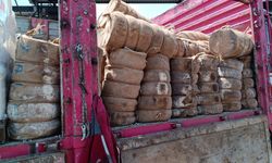 Bornova'da tüketime uygun olmayan 7 ton peynir imha edildi