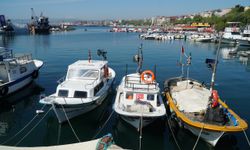Tekirdağlı balıkçılar istavrit umuduyla denize açıldı
