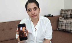 Adana'da kaybolan kedi bulunmazsa kocası boşayacak