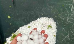 Elazığ’ın yüksek kesimlerinde dolu yağışı etkili oldu