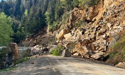 Giresun’da heyelan: Yol ulaşıma kapandı