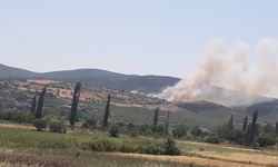 Balıkesir'in Kepsut ilçesindeki orman yangını kontrol altına alındı