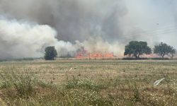 Çanakkale Çan'da tarım arazisinde çıkan yangın söndürüldü
