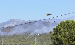 Manisa'nın Akhisar ilçesinde orman yangını çıktı