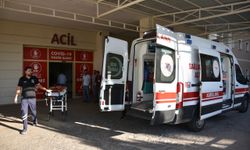 Şanlıurfa Siverek'te tırın çarptığı yaşlı kadın feci şekilde öldü