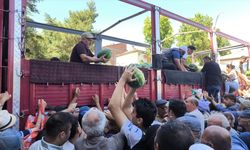 Tokat'ta bir üretici vatandaşlara tır dolusu karpuz dağıttı