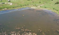 Ankaralılar bayramın tadını Kızılcahamam yaylalarında çıkardı