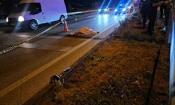 Bandırma'da otomobilin çarptığı yaşlı kadın feci şekilde can verdi