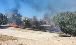 Bodrum’da otluk alanda çıkan yangın site sakinlerinde paniğe neden oldu