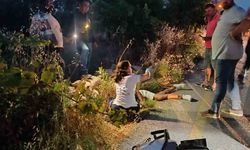 Bozdoğan'da motosiklet şarampole uçtu: 1 yaralı