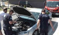 Bursa'da yavru kedi, trafiği kilitledi