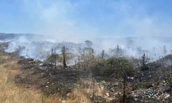 Çanakkale Yenice'de çöplük yangını söndürüldü