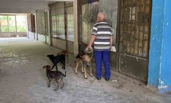 Eskişehir'de yaklaşık 2 haftadır depoda mahsur kalan 6 köpek kurtarıldı