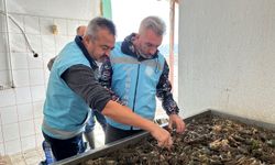 Isparta’da su ürünleri av yasağı sona erdi