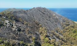 Antalya Gazipaşa'da ormanlık alanda çıkan yangın söndürüldü