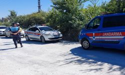Antalya'da aslan paniği: Manavgat Ilıcalı'da hayvan parkından kaçan aslan bir kişiyi yaraladı