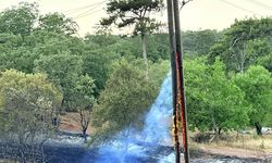 Manisa Akhisar'da çıkan orman yangını kontrol altına alındı