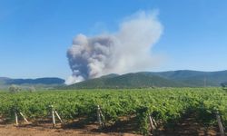 Manisa Saruhanlı ilçesinde orman yangını çıktı