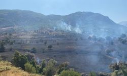 Tunceli'de çıkan örtü yangını çıktı