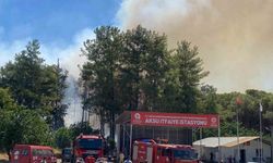Antalya’da ormanlık alanda yangın paniği yaşandı