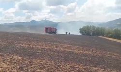 Bafra'da kartal elektrik tellerine çarptı: Yangın çıktı