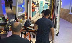 Bitlis eski Valisi Erol Karaömeroğlu hayatını kaybetti