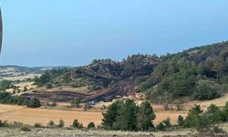 Bolu Göynük'te orman yangını kontrol altına alındı