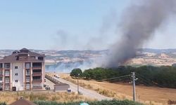 Bursa İnegöl'de anız yangını çıktı