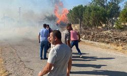 Çanakkale Ayvacık'ta orman yangını köye sıçradı