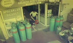 Dükkana yılan girdi: Esnaf sokağa fırladı