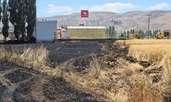 Elazığ’da 23 dönüm buğday tarlası yandı