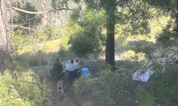 Erdemli'de ormanda piknik yapan 4 şahsa yasal işlem yapıldı