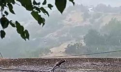 Karakoçan’da dolu yağışı etkili oldu