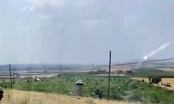 Karpuz tarlası sahibi karşılaştığı görüntü karşısında şoke oldu: Alıp alıp götürdüler