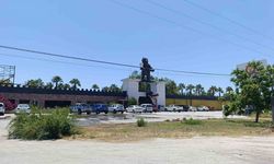 Manavgat'ta  aslanın kaçtığı hayvanat bahçesi yapılacak denetime kadar mühürlendi