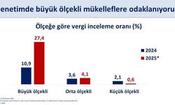 Mehmet Şimşek’ten vergi denetimi paylaşımı