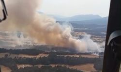 Mudurnu'da orman yangını kontrol altına alındı