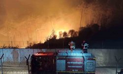 Suriye sınırında alevlerle mücadele gece de devam etti