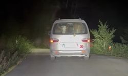 Yangında mahsur kalan hayvanları tahliye edildi