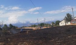 Kastamonu'da çıkan orman yangını kontrol altına alındı