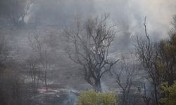Manisa'da tarım arazisinde çıkan yangın makilik alana sıçradı