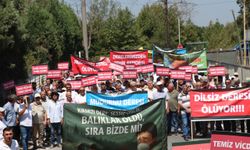 Sakarya Akyazı'da vatandaşlar, fabrikaların Mudurnu Deresi'ni kirlettiği iddiasıyla protesto düzenledi