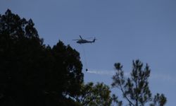 Sinop'ta orman yangını: Helikopterler havalandı