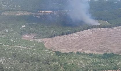 Antalya'da orman yangınında 1 hektar alan kül oldu