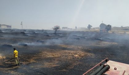 Çanakkale’de tarla yangını. 30 dönüm alan kül oldu