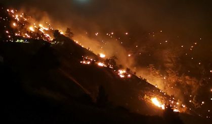 Kahramanmaraş’ta orman yangınına müdahale devam ediyor